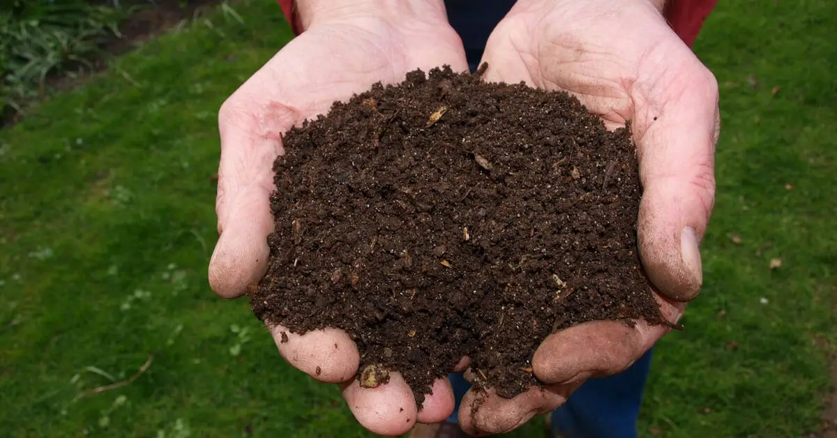 compost for garden