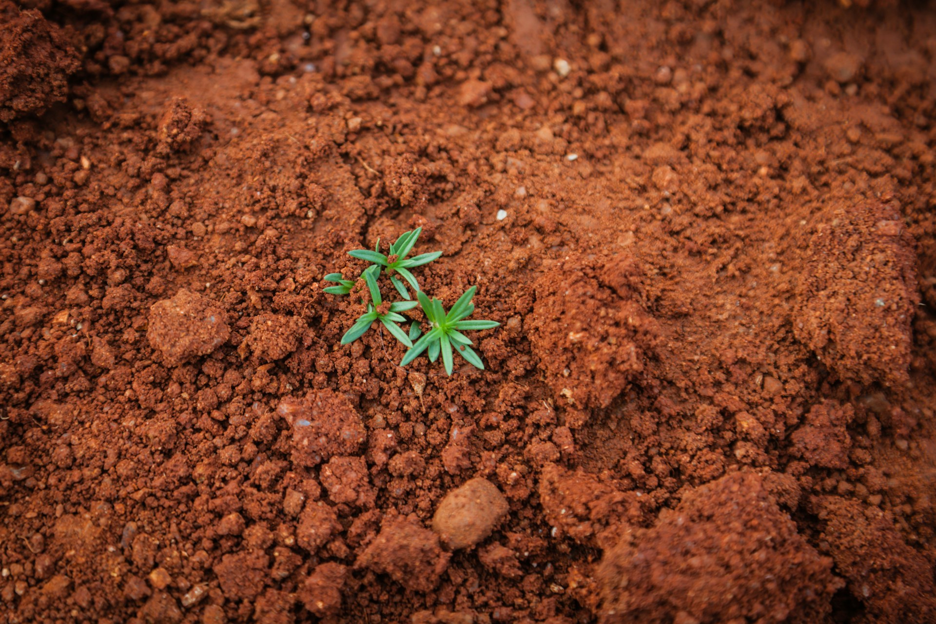 gardening tips soil types